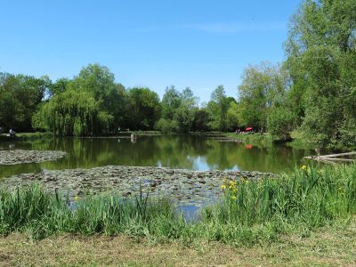 Jolyssable - Pons, 7 juillet 2019